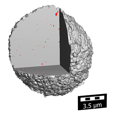 3D-Visualisierung eines Korns der LiNiMnCoO2-Kathode
